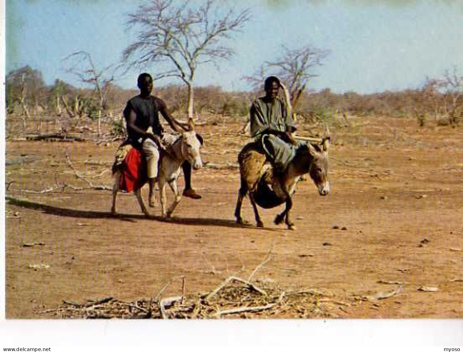 Haute Volta Sur La Route D'Aribinda Voyageurs Dans Une Nature Desolee, Hommes Sur Anes - Burkina Faso