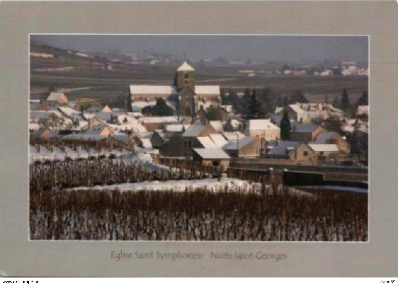 Eglise Saint Symphorien : Perspective Du Vignoble En Hiver   Photos Jean Louis Bernuy.  Non Circulée - Nuits Saint Georges