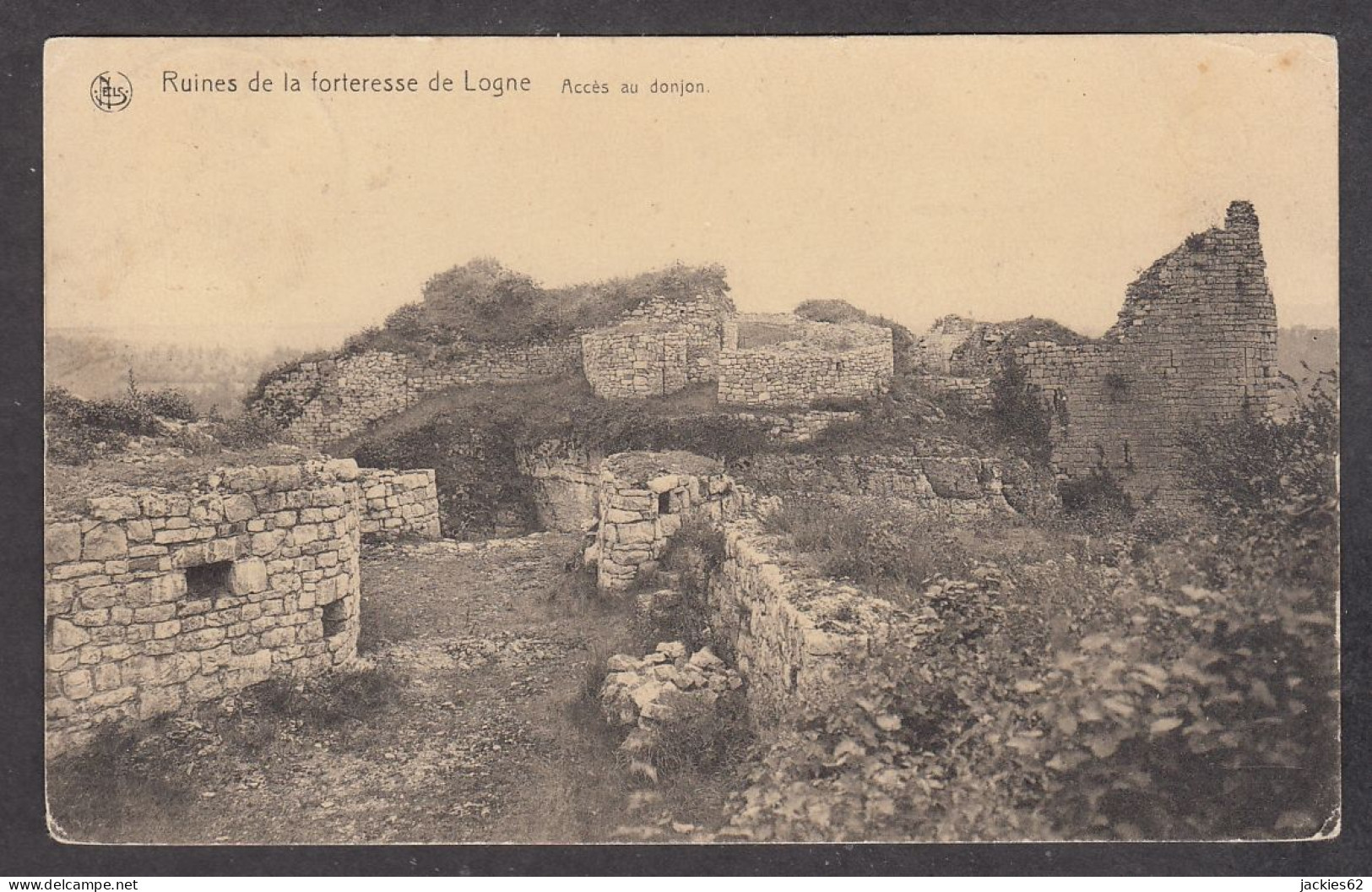 105037/ FERRIERES, Ruines De La Forteresse De Logne, Accès Au Donjon - Ferrieres