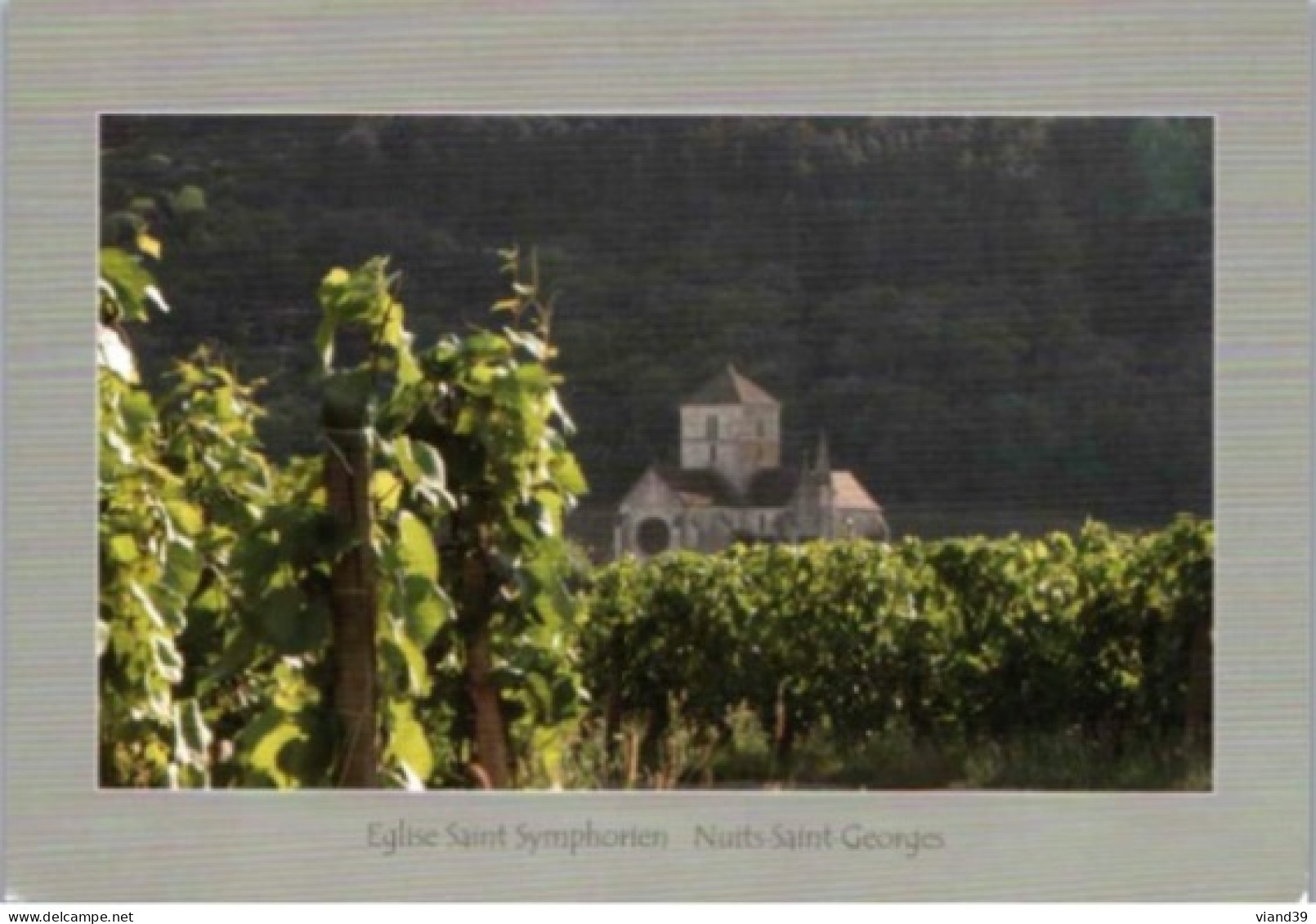 Eglise Saint Symphorien : Depuis Le Vignoble A.O.C.    Photos Jean Louis Bernuy.  Non Circulée - Nuits Saint Georges