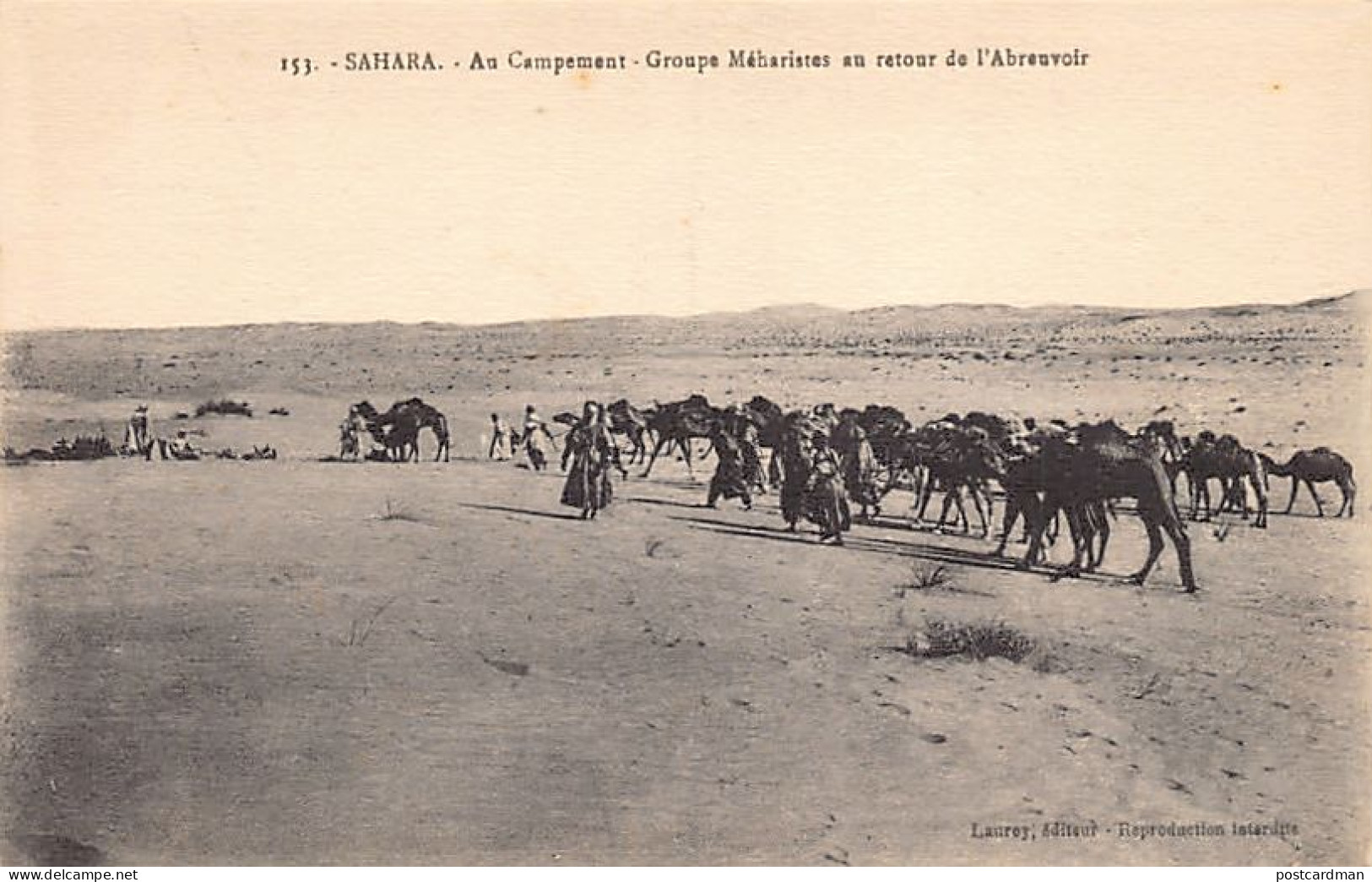 Algérie - Sahara - Au Campement - Groupe Méhariste Au Retour De L'abreuvoir - Ed. Lauroy 153 - Hommes