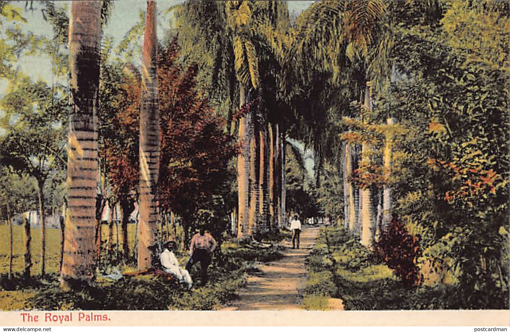Ciudad De Panamá - The Royal Palms - Publ. I. L. Maduro Jr. 188 - Panamá