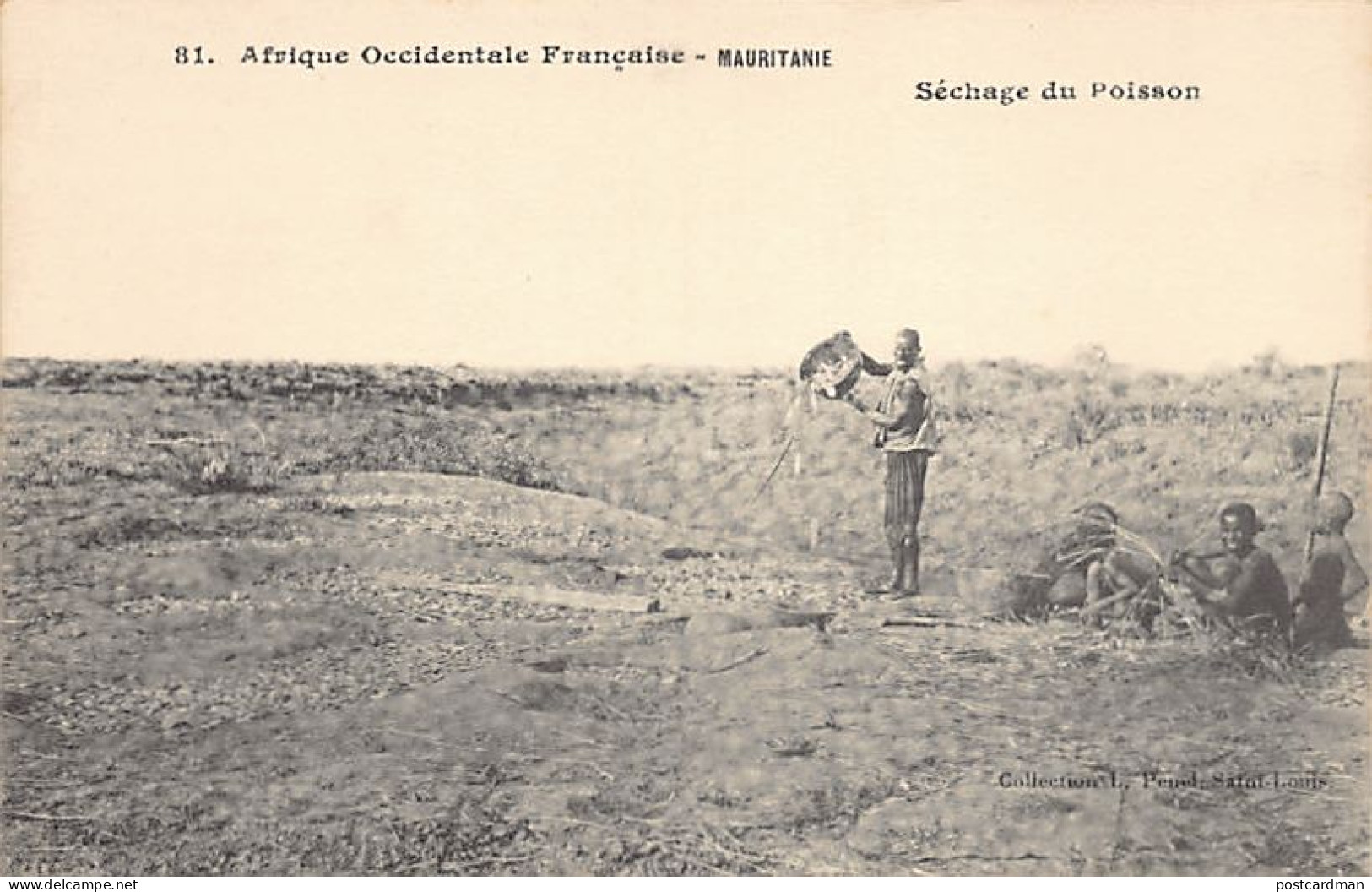 Mauritanie - Séchage Du Poisson - Ed. Penel 81 - Mauritanië