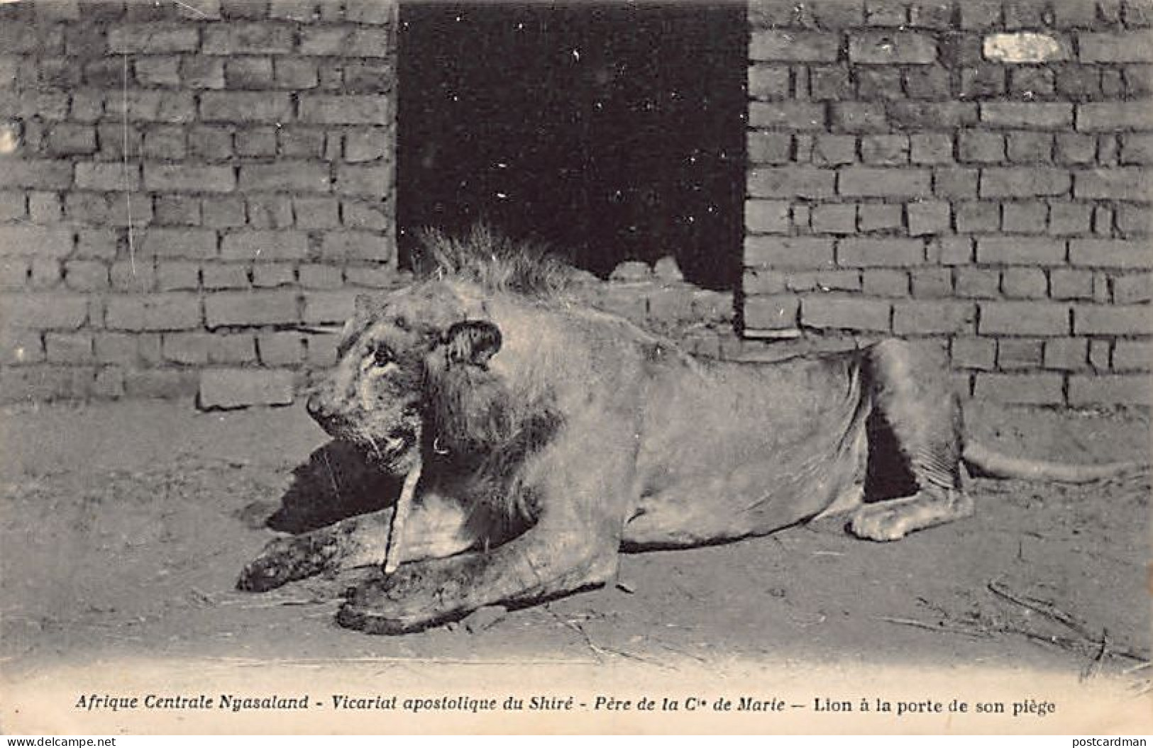 Malawi - Trapped Lion - Publ. Apostolic Vicariate Of The Shire - Father Of The Company Of Mary - Malawi