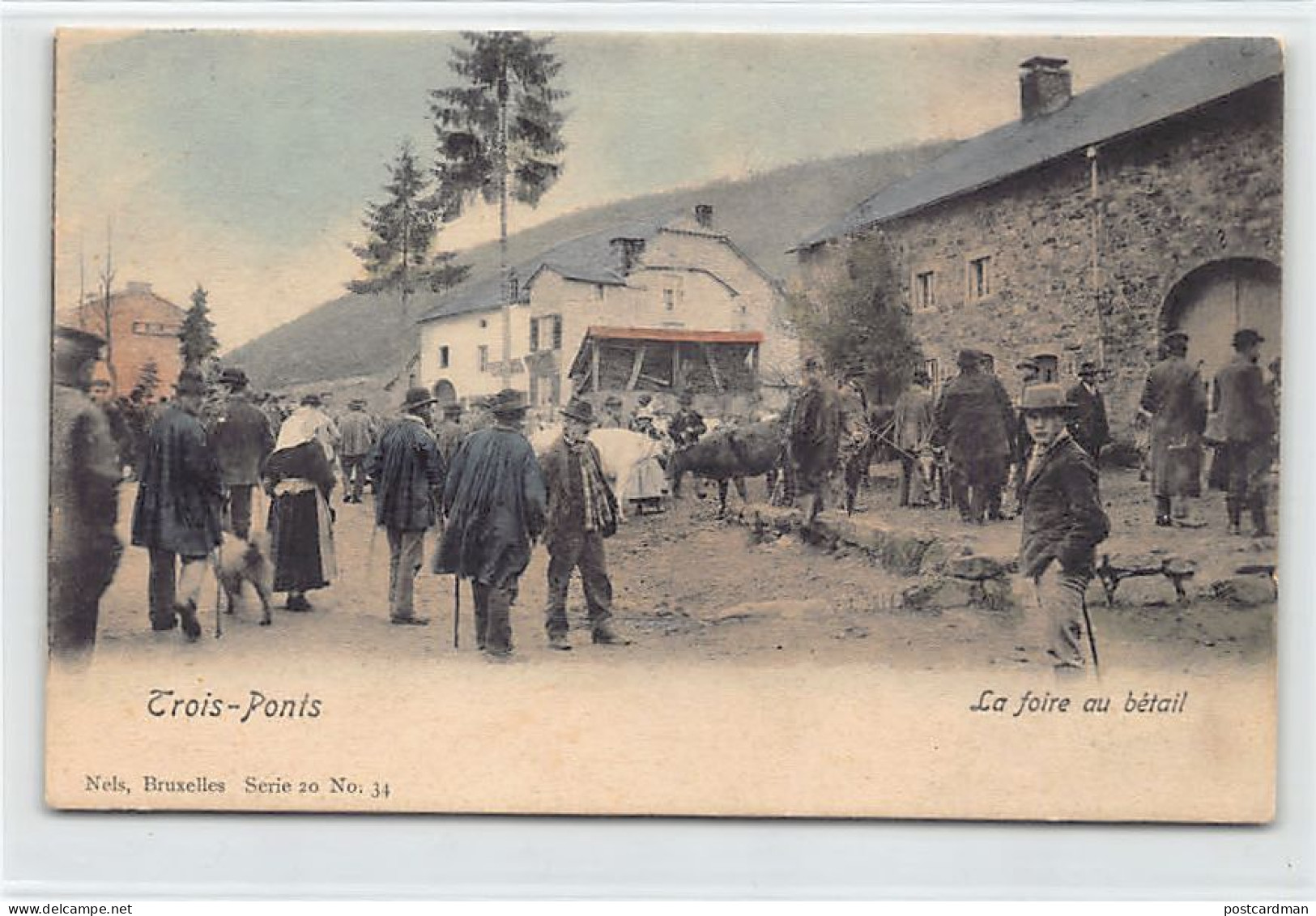 Belgique - TROIS-PONTS (Liège) La Foire Au Bétail - Ed. Nels Série 20 N. 34 - Trois-Ponts