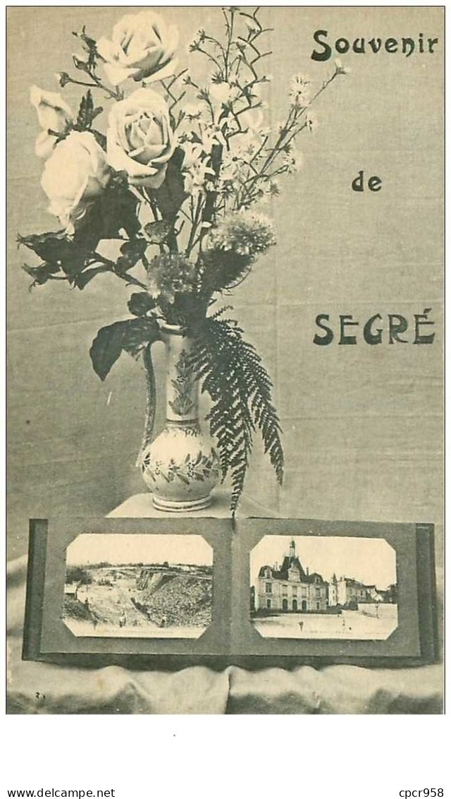 49.SEGRE.n°15545.SOUVENIR DE SEGRE - Segre