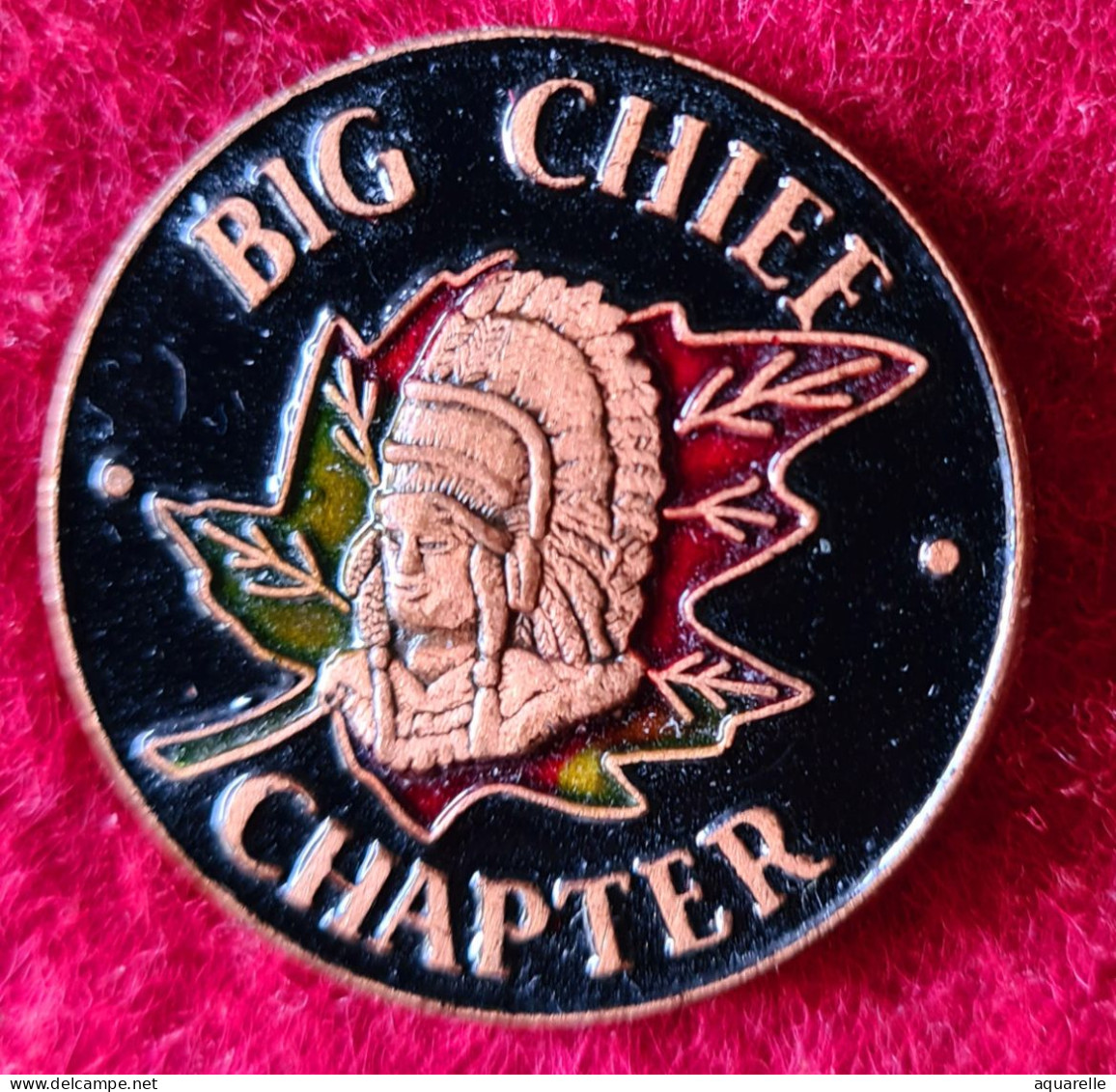 SUPER PIN'S "INDIEN BIG CHIEF CHAPTER " Base Email Cuivré Cloisonné, Signé Artisse Régina - Celebrities