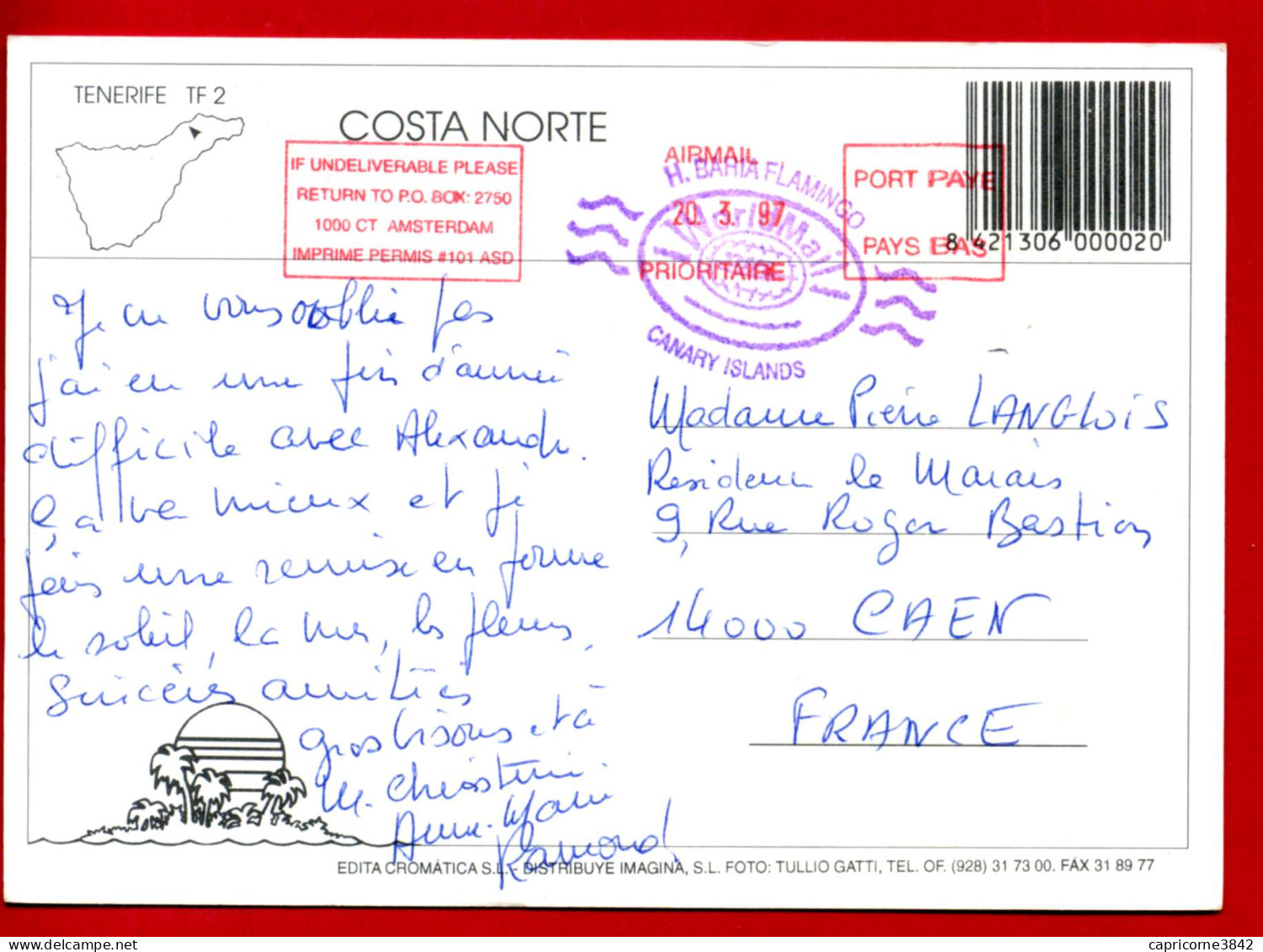 1997 - Espagne - Carte Postale Des Iles Canaries - Cachet "WORLD MAIL-CANARY ISLANDS" + "PORT PAYE PAYS BAS" - Andere & Zonder Classificatie