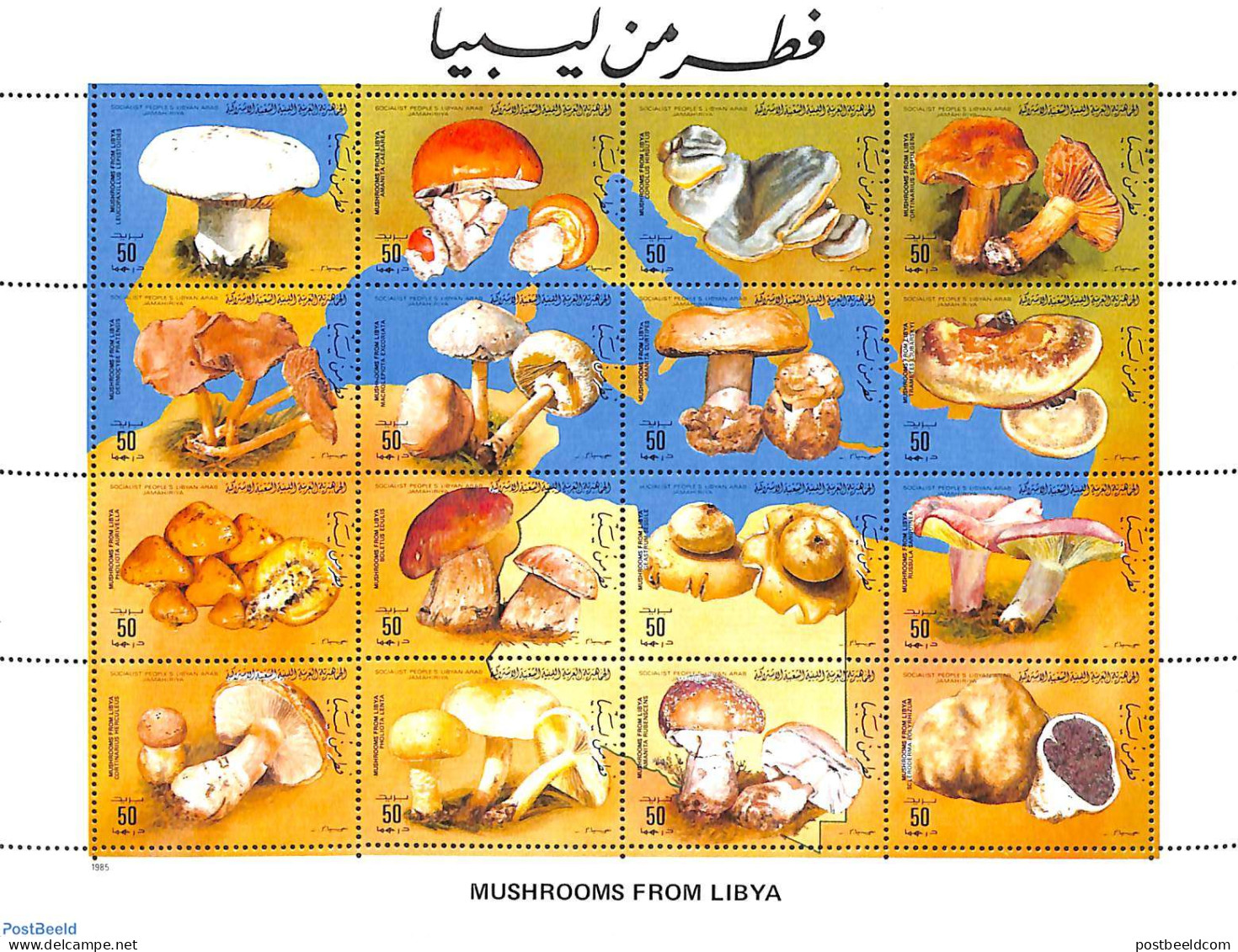 Libya Kingdom 1985 Mushrooms 16v M/s, Mint NH, Nature - Mushrooms - Paddestoelen