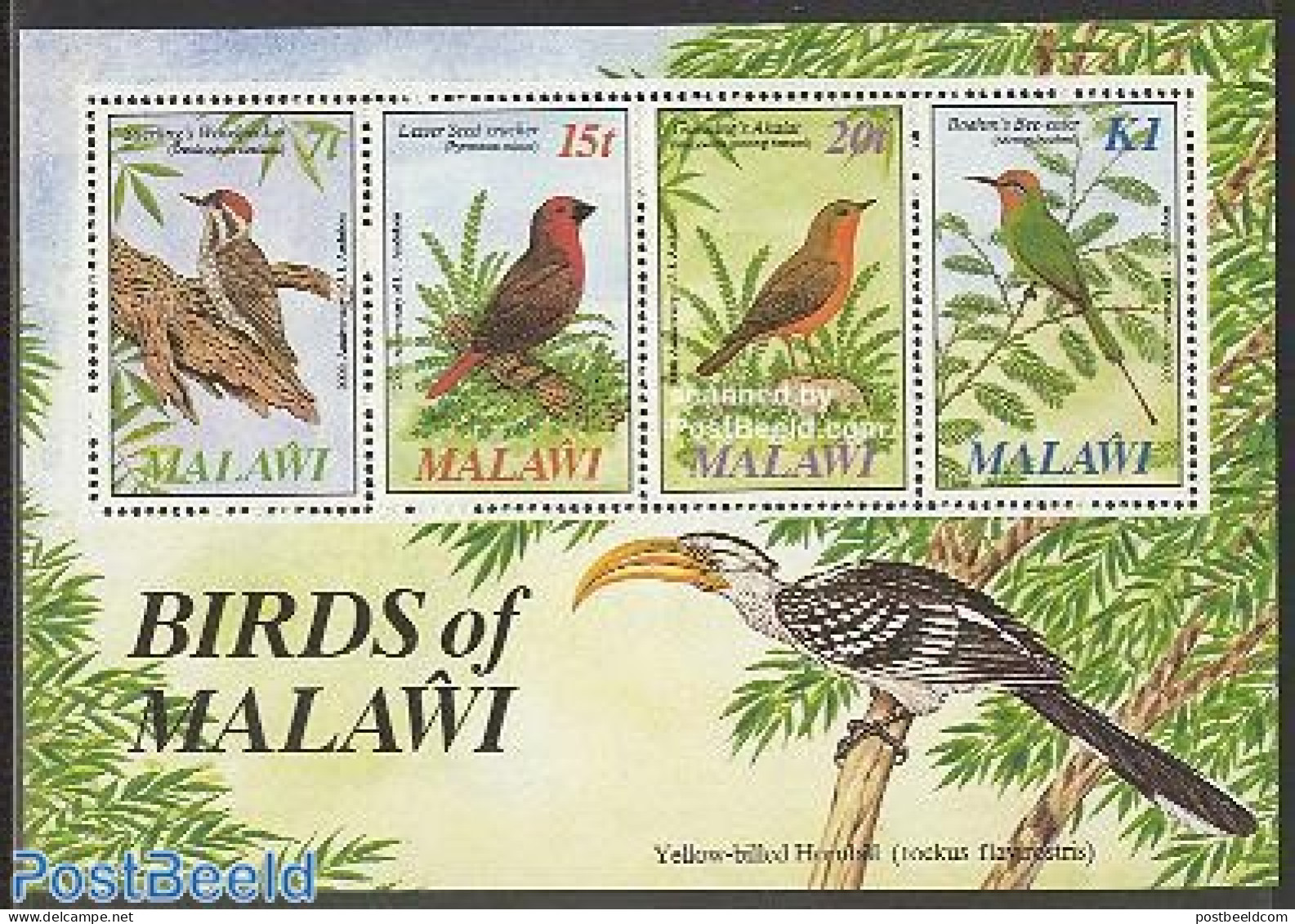 Malawi 1985 J.J. Audubon S/s, Mint NH, Nature - Birds - Woodpeckers - Malawi (1964-...)