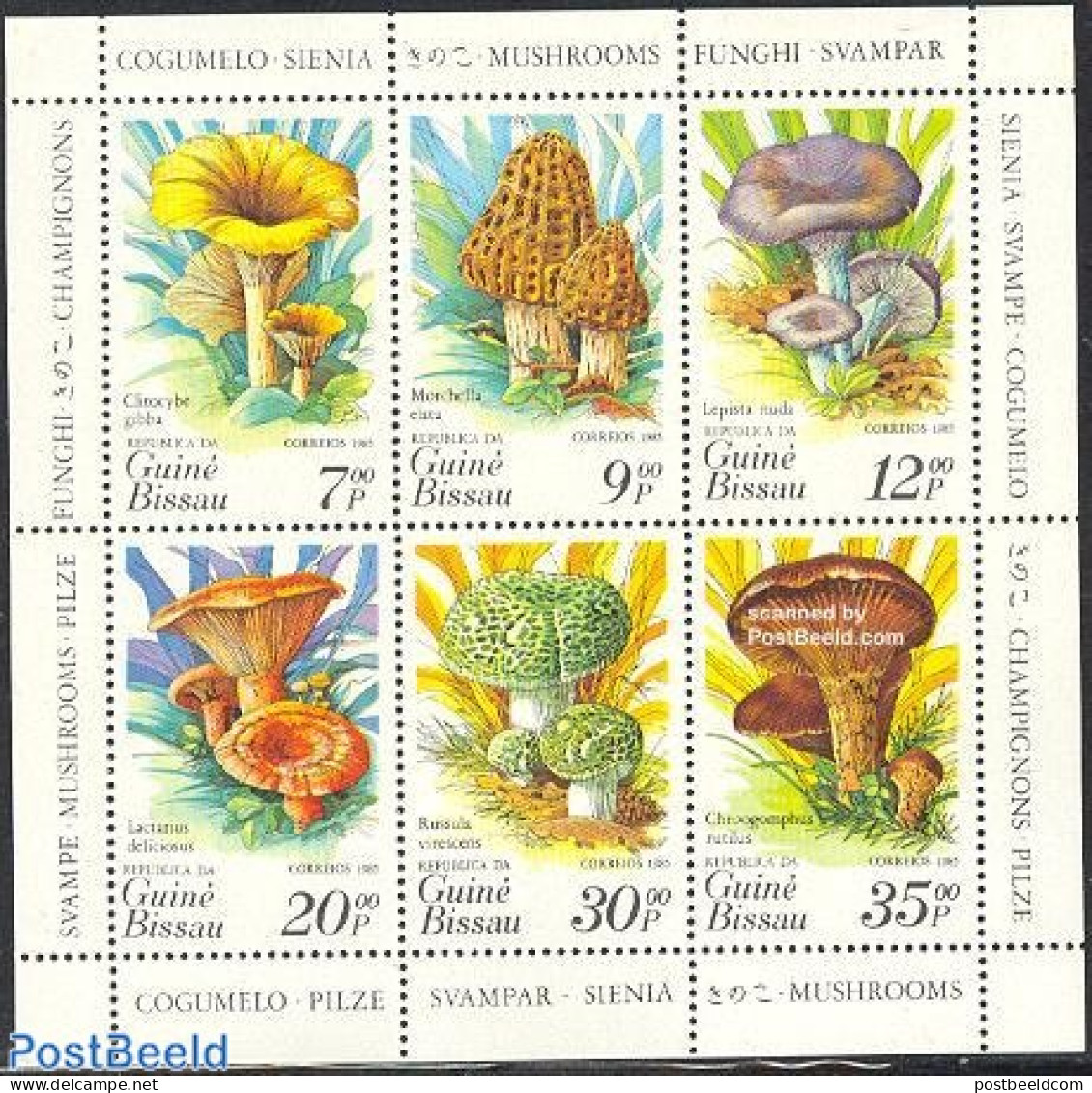 Guinea Bissau 1985 Mushrooms 6v M/s, Mint NH, Nature - Mushrooms - Paddestoelen