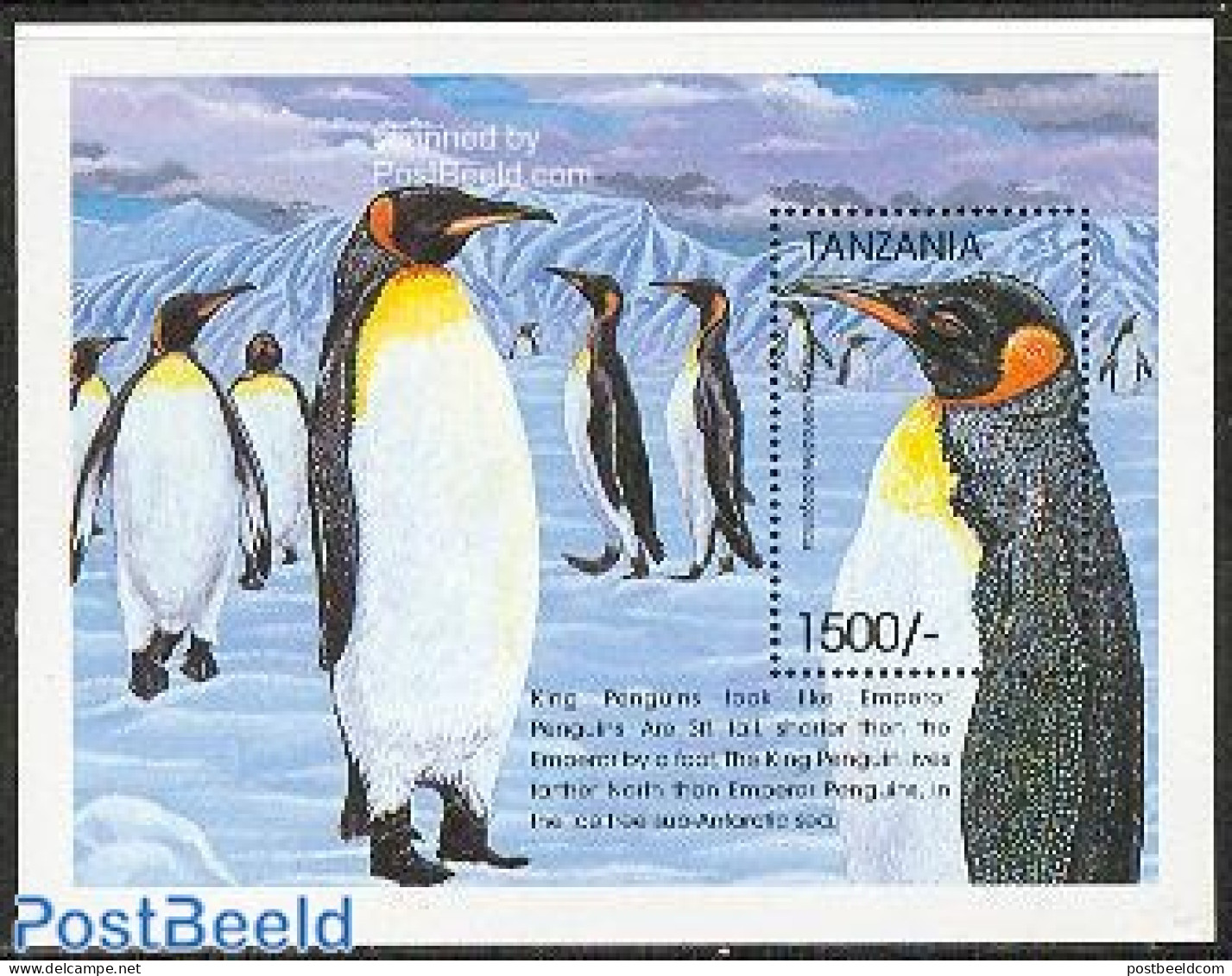 Tanzania 1999 King Penguin S/s, Mint NH, Nature - Birds - Penguins - Tanzania (1964-...)