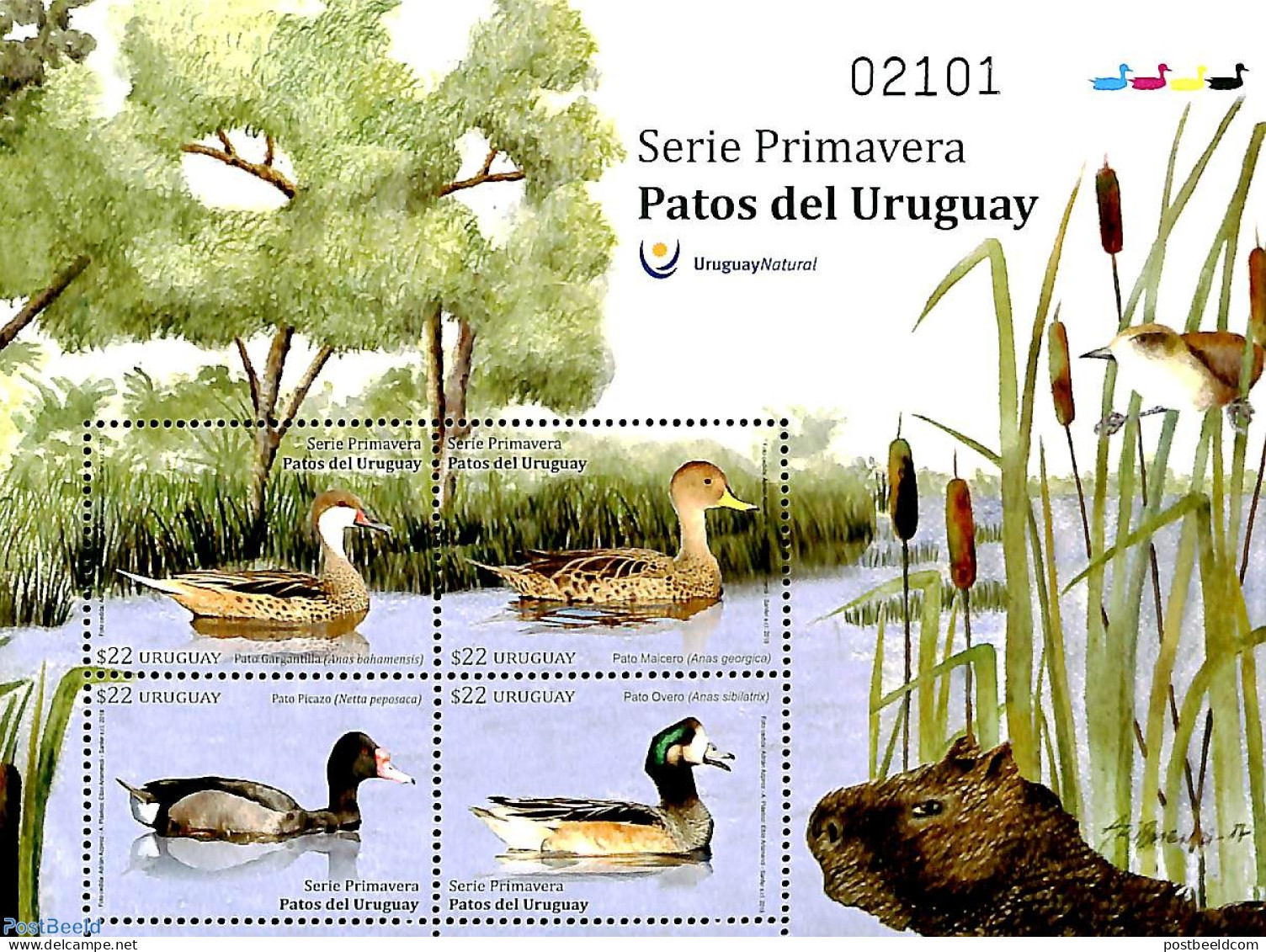 Uruguay 2018 Ducks 4v M/s, Mint NH, Nature - Birds - Ducks - Uruguay