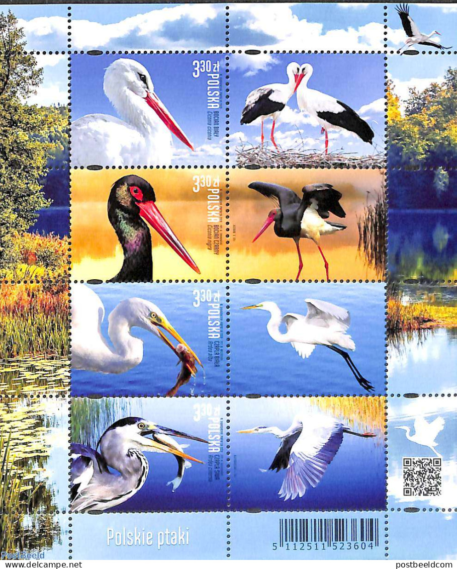 Poland 2020 Birds 8v M/s, Mint NH, Nature - Birds - Unused Stamps