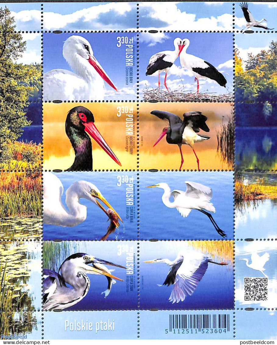 Poland 2020 Birds 8v M/s, Mint NH, Nature - Birds - Nuevos