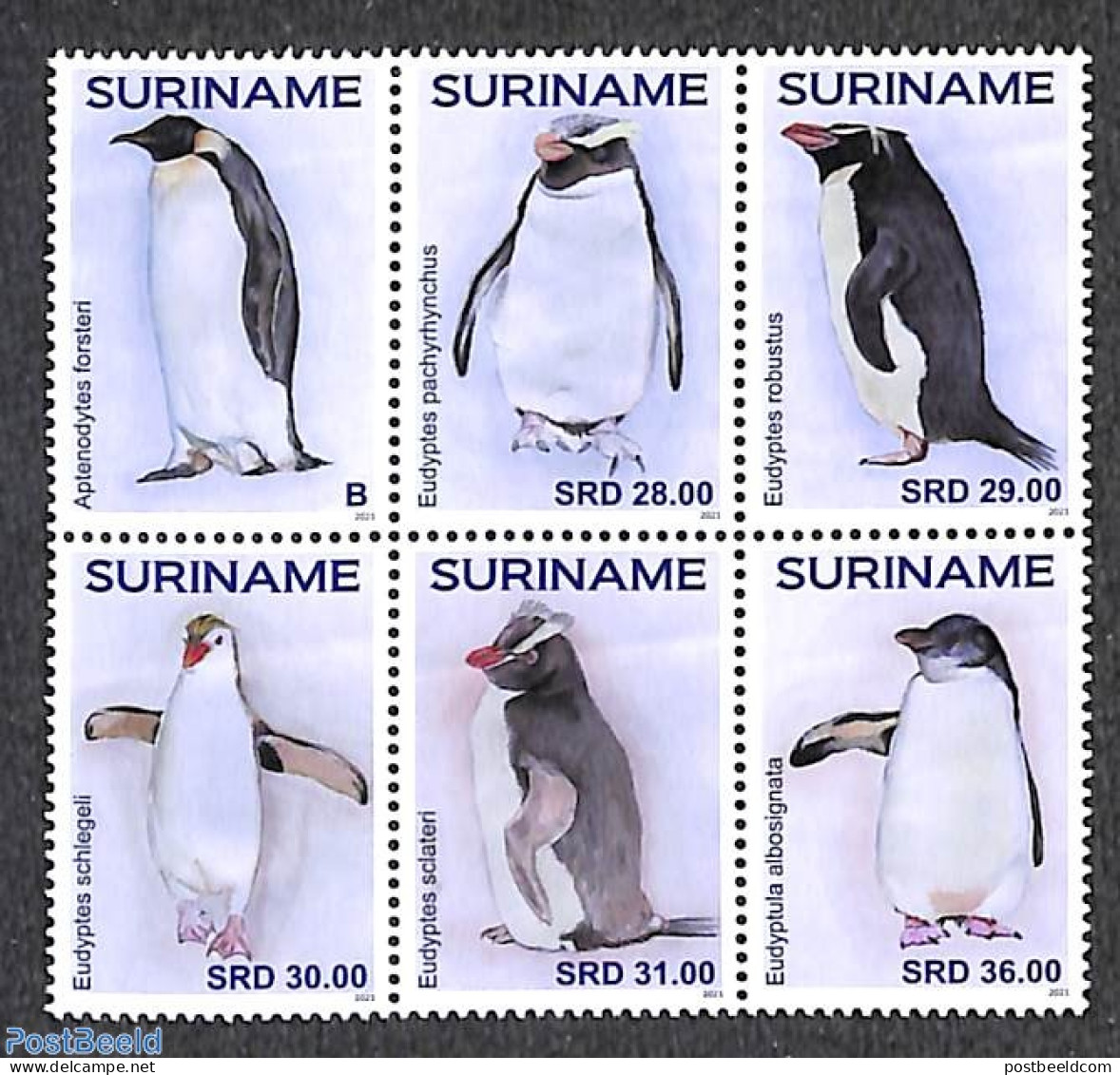 Suriname, Republic 2021 Pinguins 6v [++], Mint NH, Nature - Birds - Penguins - Surinam