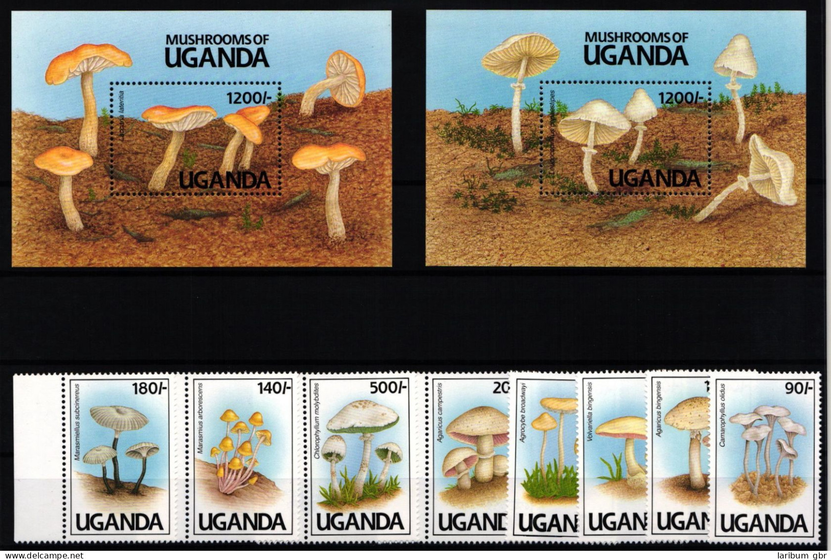 Uganda 950-957 Und Block 146 Und 147 Postfrisch Pilze #KC453 - Uganda (1962-...)