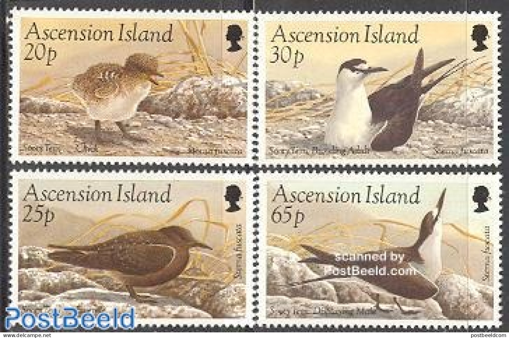 Ascension 1994 Sterna Fuscata 4v, Unused (hinged), Nature - Birds - Ascension (Ile De L')