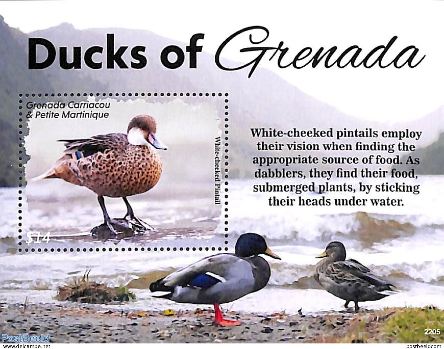 Grenada Grenadines 2022 Ducks Of Grenada S/s, Mint NH, Nature - Birds - Ducks - Grenada (1974-...)