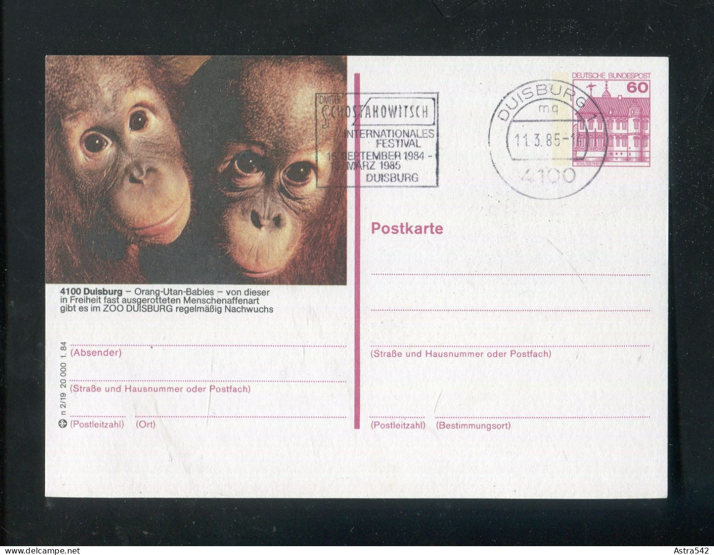 "AFFEN" 1984, Entsprechende Abbildung Auf Bildpostkarte Stempel "DUISBURG" (A1062) - Singes