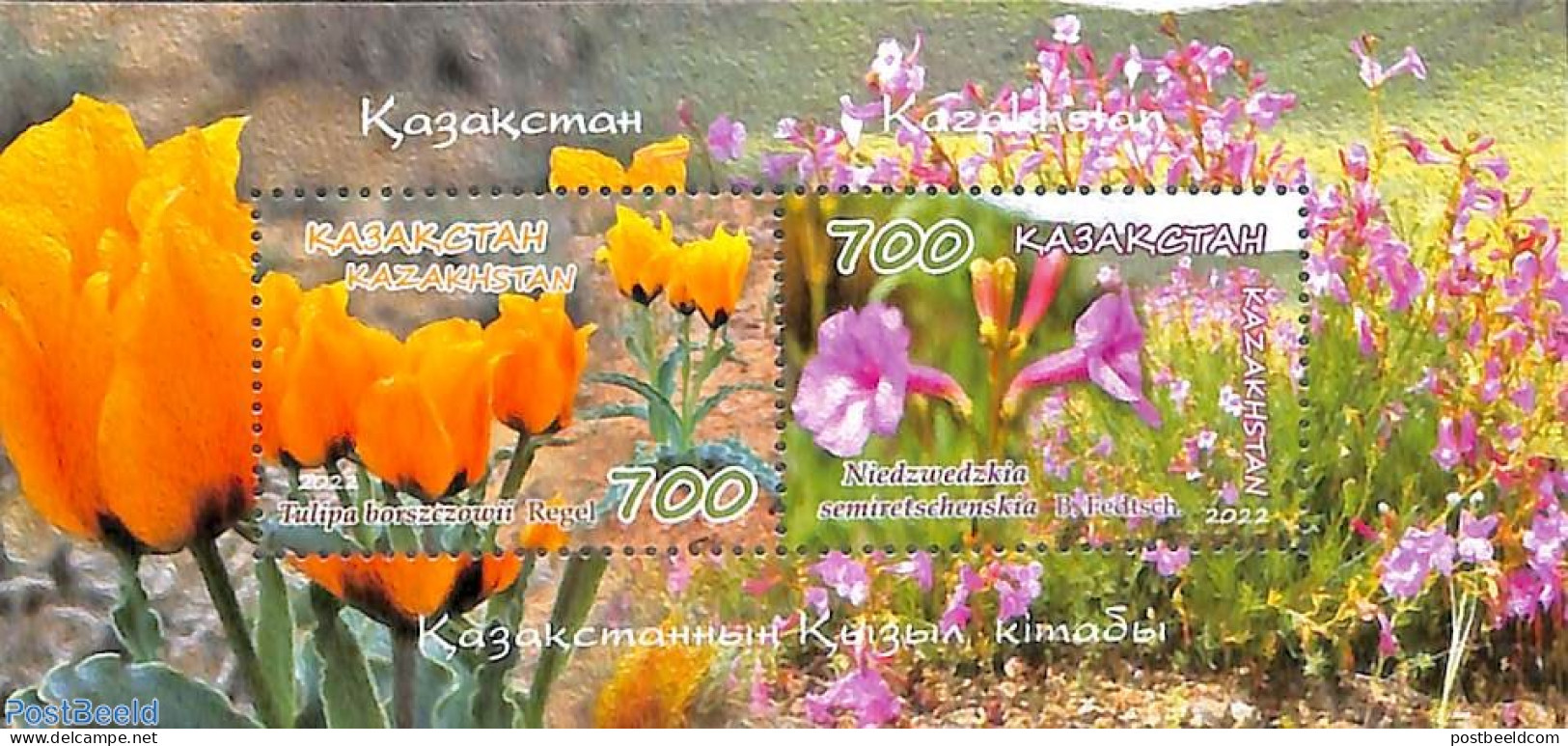 Kazakhstan 2022 Flora Red Book S/s, Mint NH, Nature - Flowers & Plants - Kazachstan