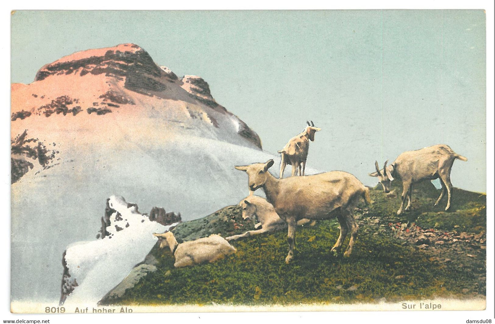 CPA Suisse Auf Hoher Alp Sur L'alpe  Troupeau De Chèvres - Au