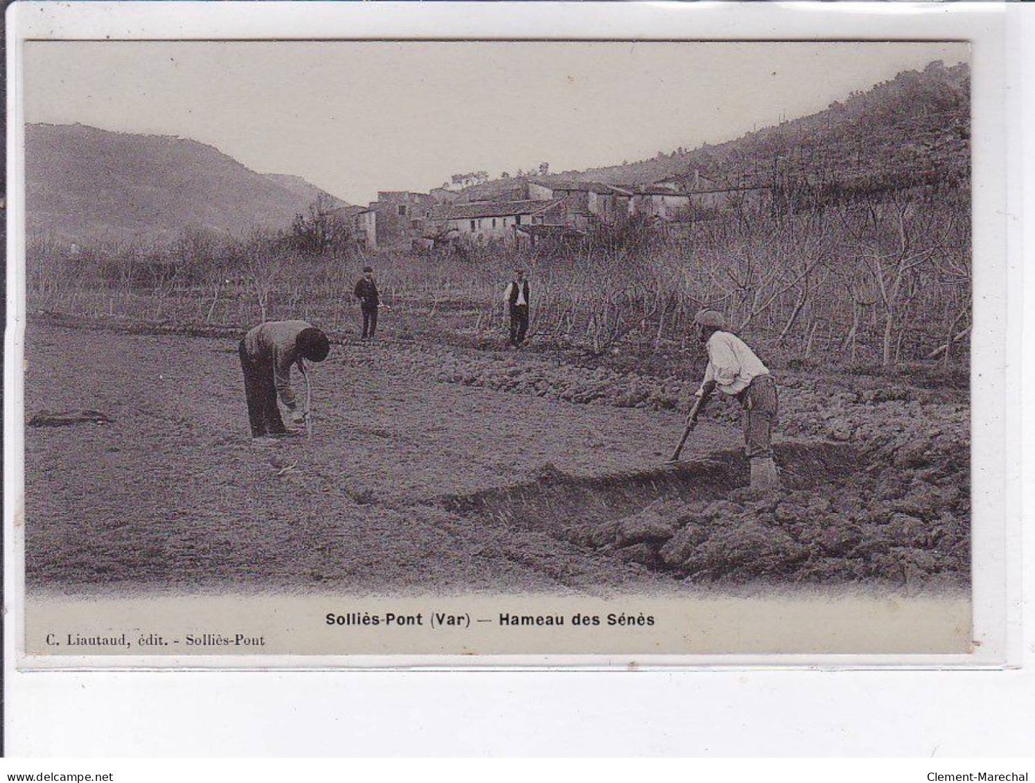 SOLLIES-PONT: Hameau Des Sénès, Agriculture - Très Bon état - Sollies Pont