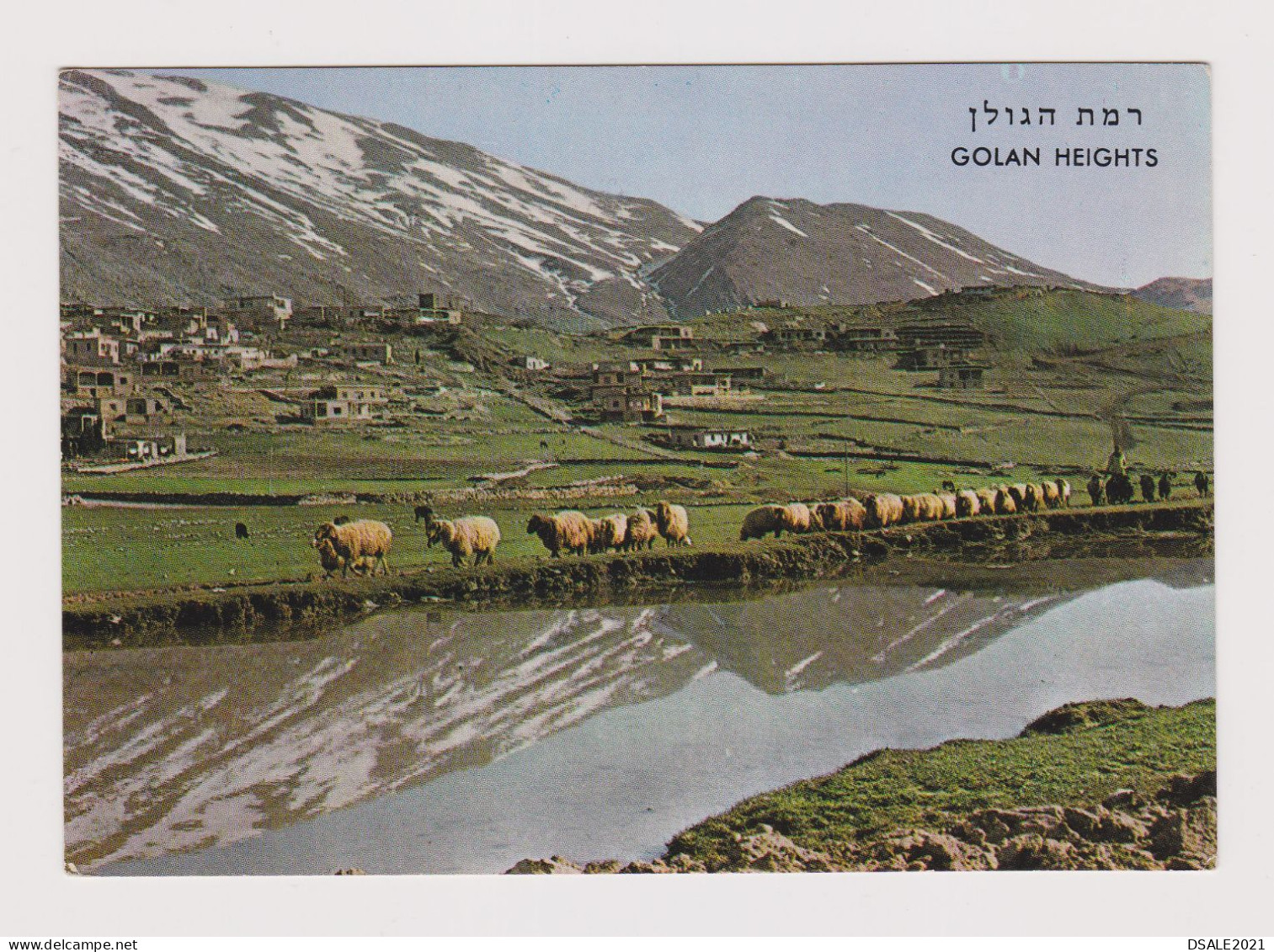 ISRAEL GOLAN HEIGHTS Rural Scene View Photo Postcard RPPc 1980s With Topic Stamps Sent Abroad (68062) - Lettres & Documents