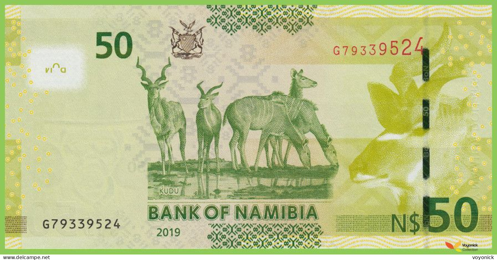 Voyo NAMIBIA 50 Dollars 2019 P13c B211c G UNC - Namibia
