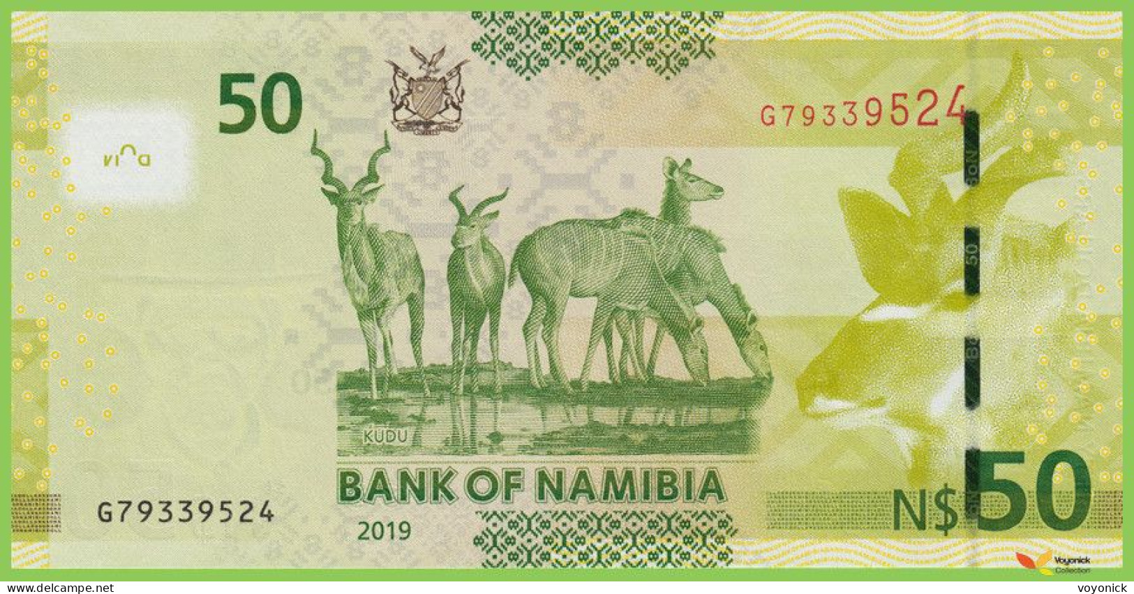 Voyo NAMIBIA 50 Dollars 2019 P13c B211c G UNC - Namibie