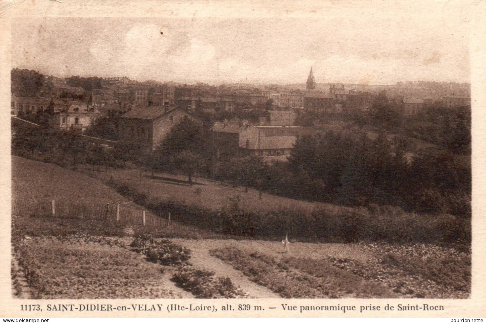 SAINT-DIDIER EN VELAY - Vue Panoramique Prise De Saint-Roch - Saint Didier En Velay