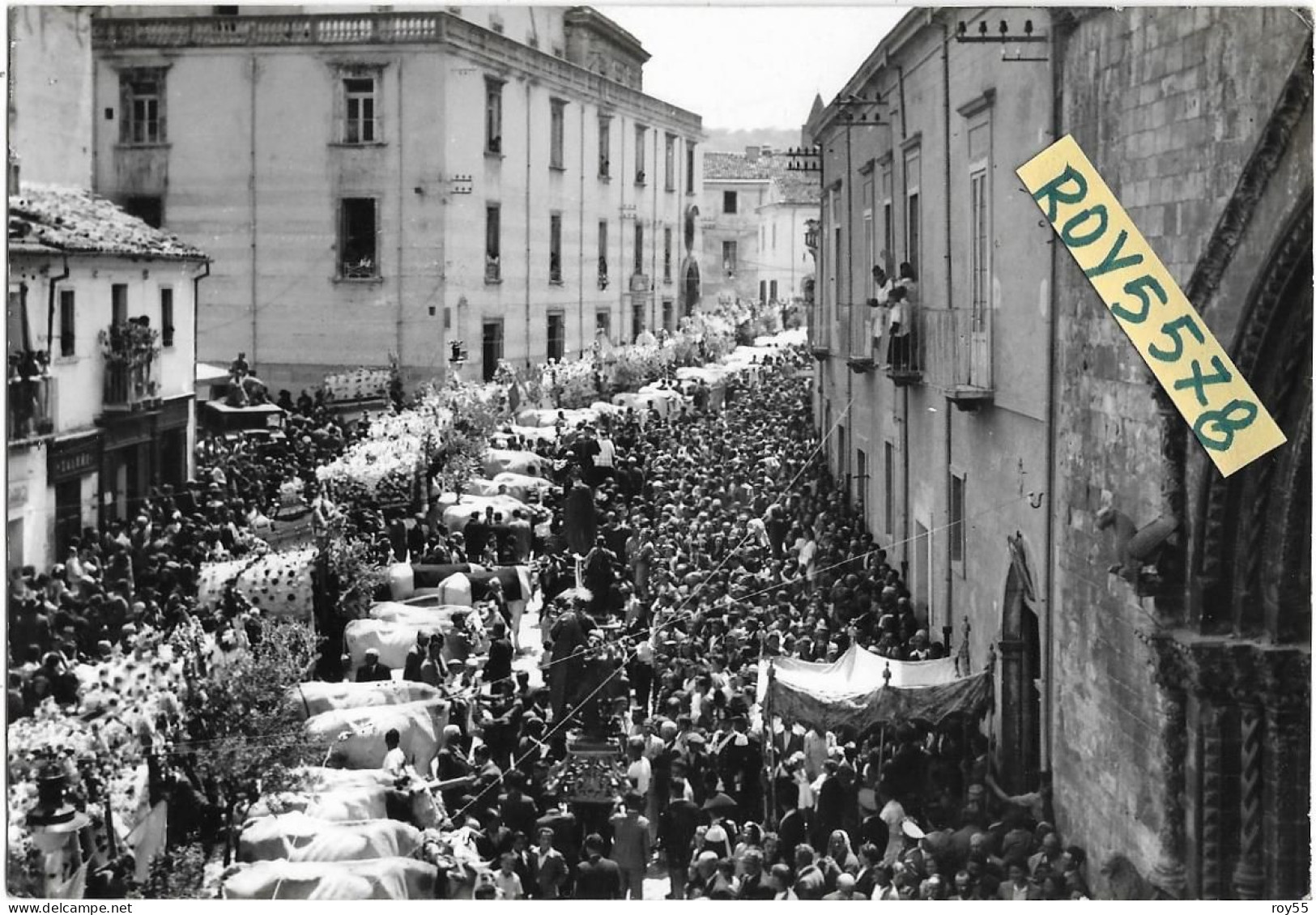 Molise-campobasso-larino Sagra Di S.pardo Benedizione Dei Carri A Fine Maggio Veduta Anni 50 - Altri & Non Classificati