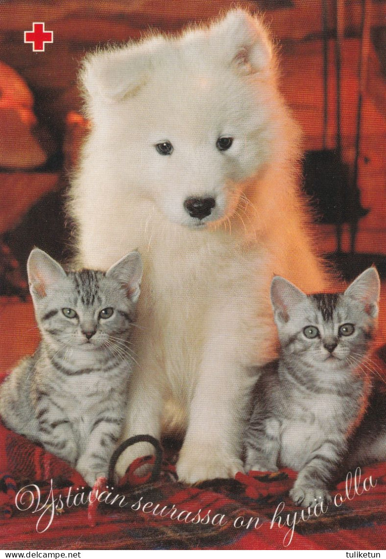 Postal Stationery - Samoyed Dog Puppy - Cats - Kittens - Red Cross 2001 - Suomi Finland - Postage Paid - Postwaardestukken