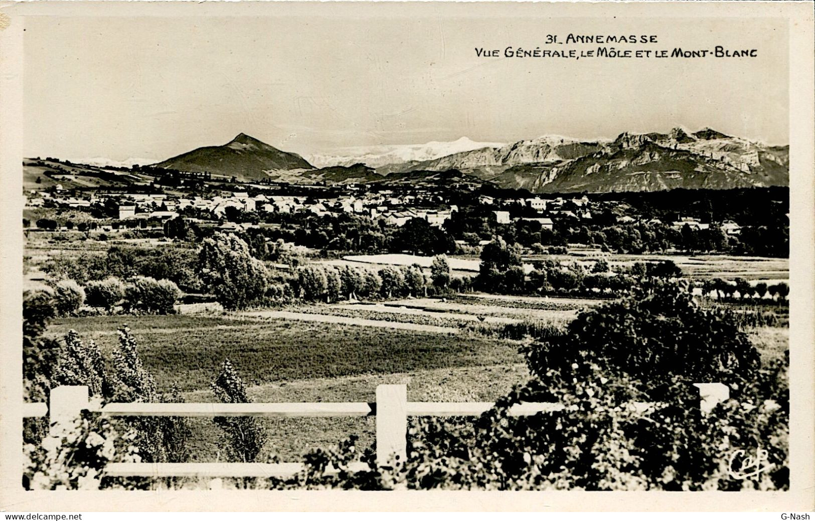 CPA 74 - Annemasse - Vue Générale, Le Môle Et Le Mont-Blanc - Annemasse