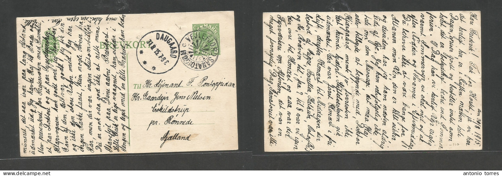 Denmark. 1915 (30 Aug) Vejlefjord Sanatorium - Eskildotrup. 5 Ore Green With Special Depart Cancel (xxx) Cds Dangaaro (3 - Otros & Sin Clasificación