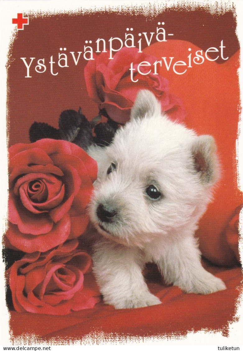 Postal Stationery - Dog - Westie Puppy - Terrier - Roses - Red Cross 2003 - Suomi Finland - Postage Paid - Postal Stationery