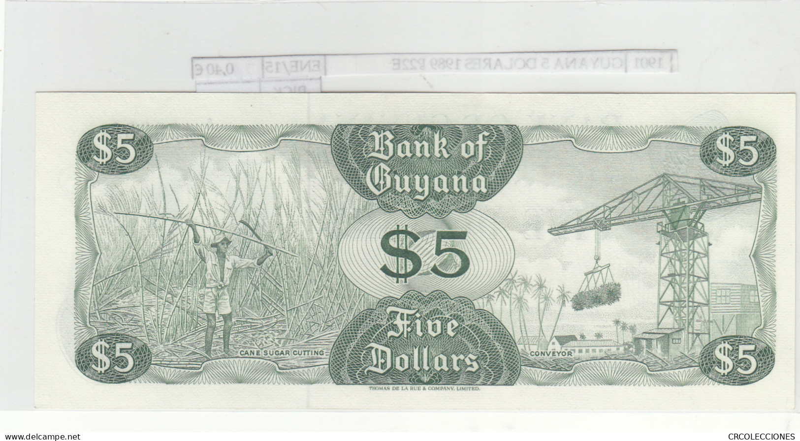 BILLETE GUYANA 5 DOLARES 1989 P-22e N01901 - Altri – America