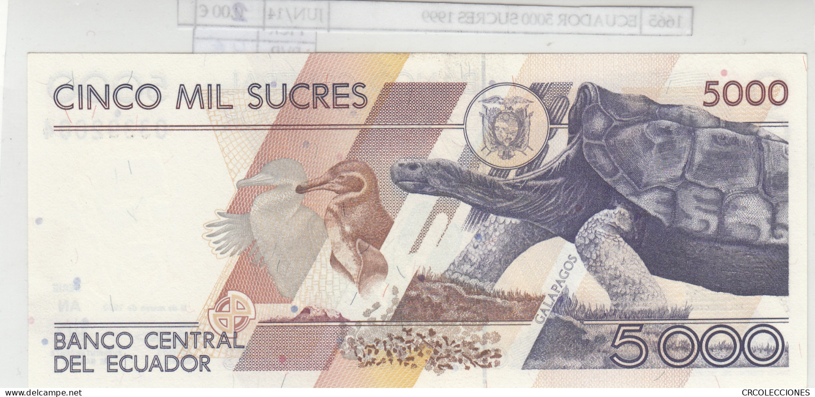 BILLETE ECUADOR 5.000 SUCRES 1999 P-128c.1 N01665 - Other - America