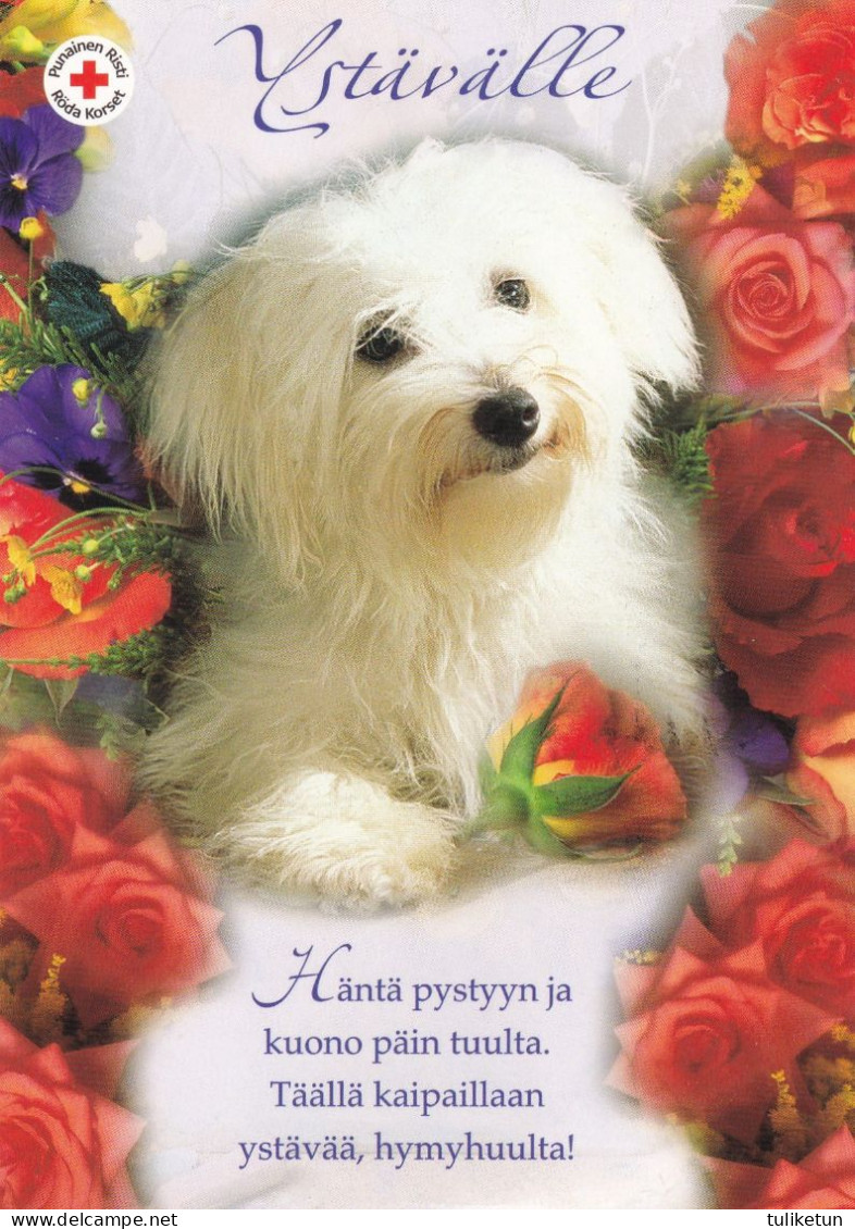 Postal Stationery - Dog - Coton De Tulear - Havanese - Roses - Red Cross 2006 - Suomi Finland - Postage Paid - Postal Stationery