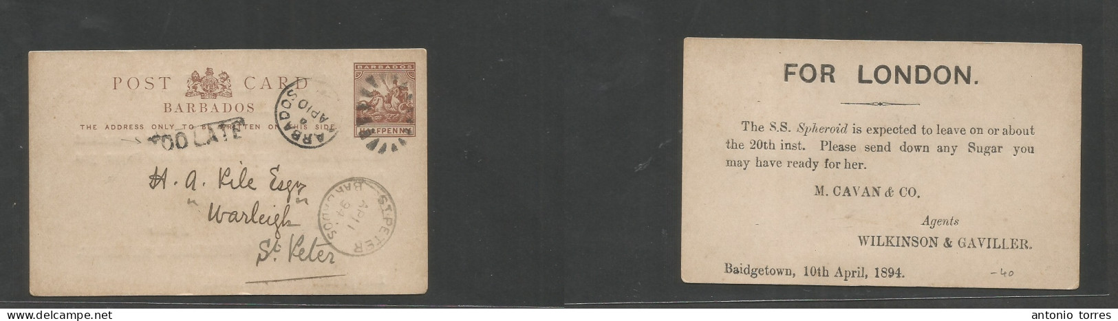 Bc - Barbados. 1894 (10 April) Bridetown - St. Peter (Apr 11) 1/2d Brown Printed Stat Card + "Too Late" Boxed. Fine Loca - Other & Unclassified