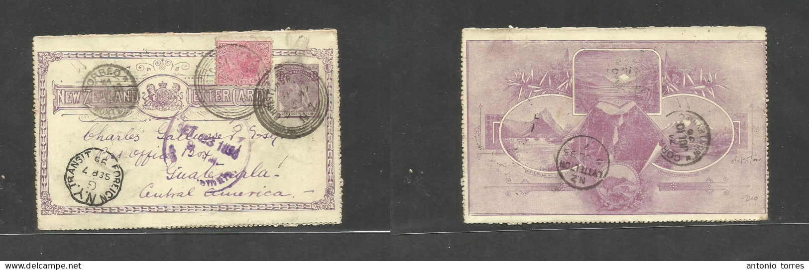 New Zealand. 1895 (3 July) Christchurch - Guatemala, Central America (23 Sept) 1/2d Lilac Illustr Stat Lettersheet Via U - Sonstige & Ohne Zuordnung