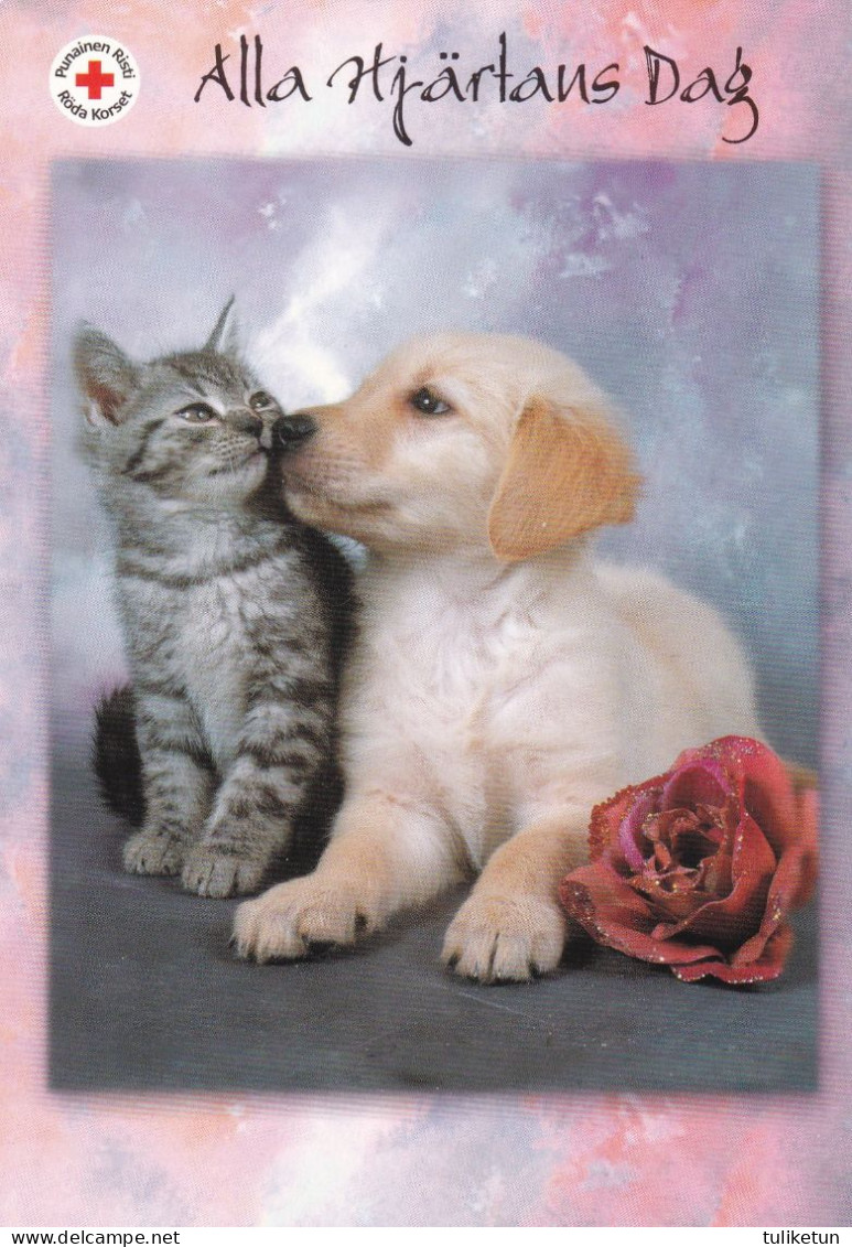 Cat - Kitten Meeting Golden Retriever Dog Puppy - Red Cross 2006 - Postal Stationery - Suomi Finland - Postage Paid - Enteros Postales