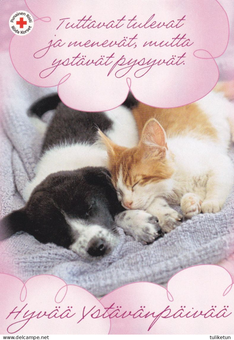 Cat - Kitten & Dog Puppy Sleeping - Red Cross 2011 - Postal Stationery - Suomi Finland - Postage Paid - Enteros Postales