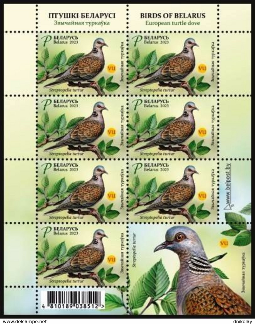 2023 0203 Belarus Birds - European Turtle Dove Fauna MNH - Belarus