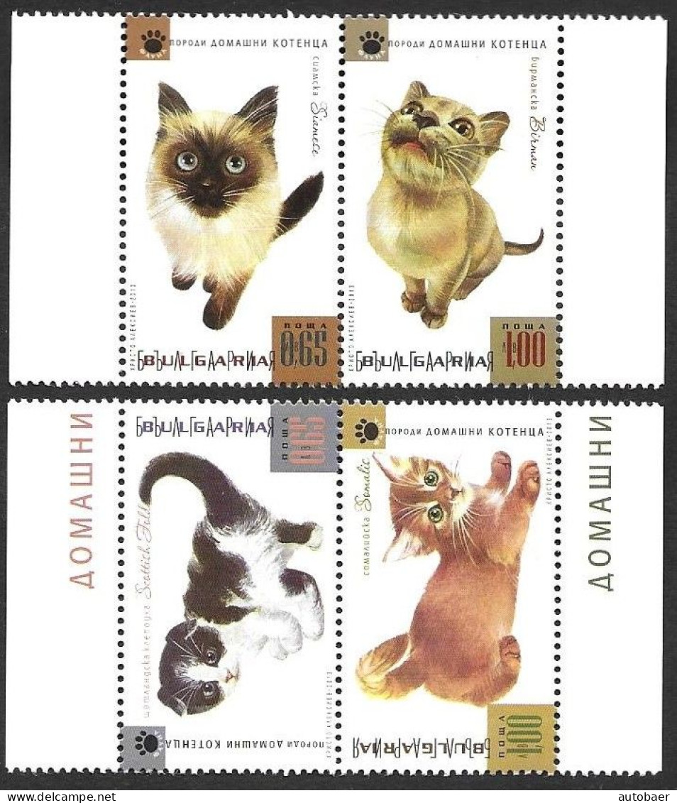 Bulgaria Bulgarie Bulgarien 2013 Fauna Young Cats Michel 5117-20 2 Pairs ** MNH Neuf Postfrisch - Unused Stamps