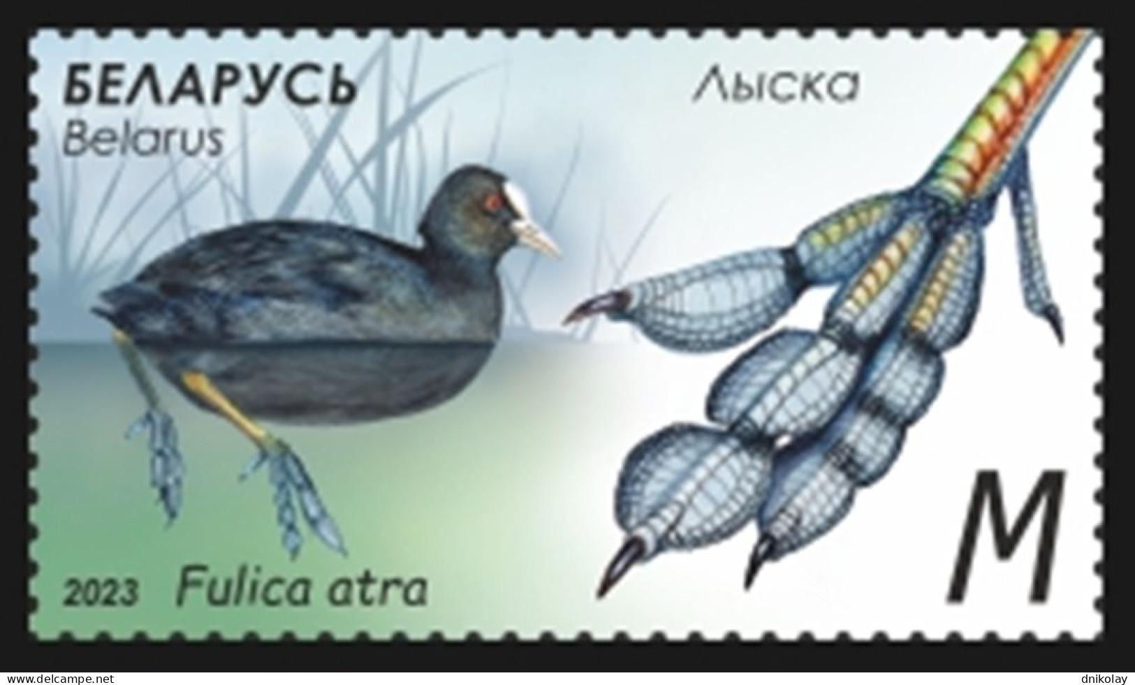 2023 1507 Belarus Features Of Waterfowl MNH - Belarus