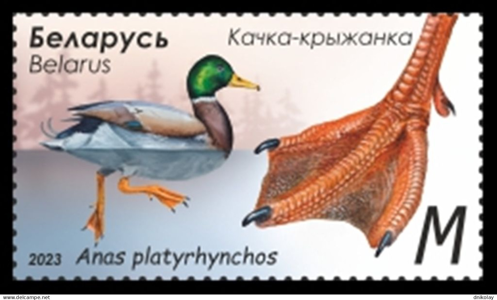 2023 1507 Belarus Features Of Waterfowl MNH - Belarus