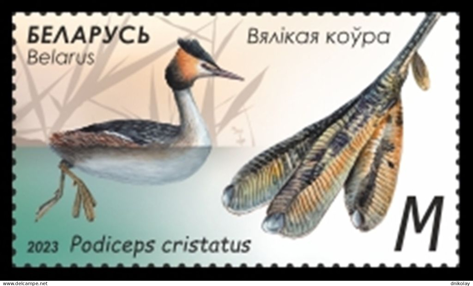 2023 1507 Belarus Features Of Waterfowl MNH - Belarus