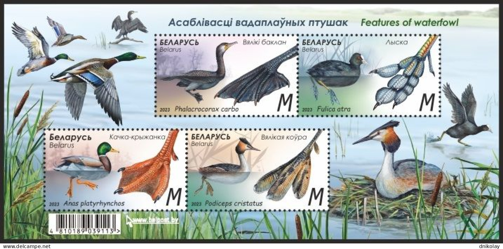 2023 1507 Belarus Features Of Waterfowl MNH - Bielorrusia