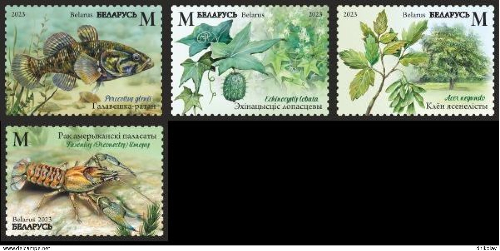 2023 1516 Belarus Invasive Species Of Flora And Fauna Of Belarus MNH - Belarus